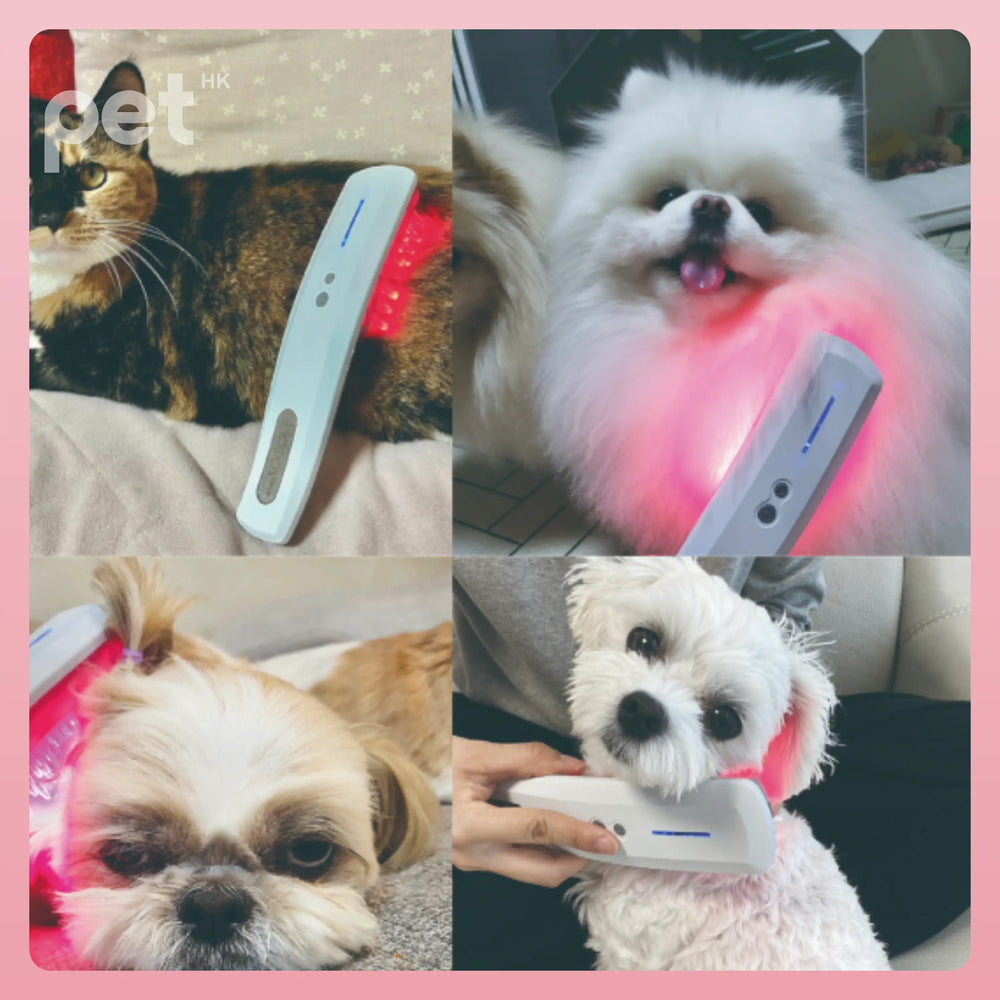 Doocamedi Cellcare Drama: LED Red Light Therapy for Joint Pain Relief DOOCAMEDI