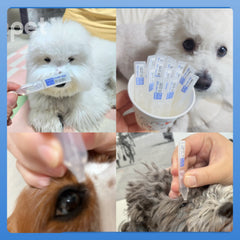 Doocamedi Cellcare Eye Drop: Innovative Eye Care for Pets DOOCAMEDI