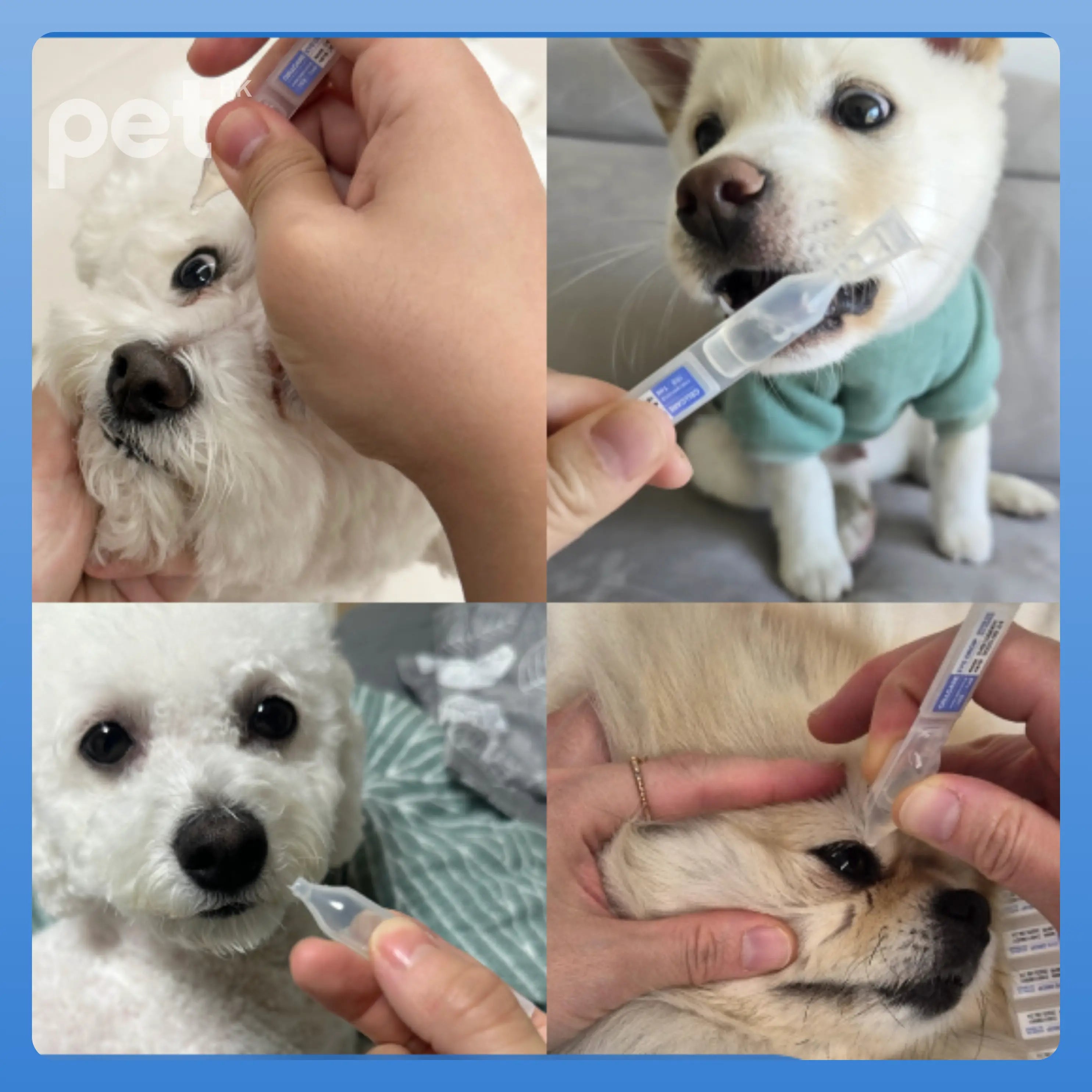 Doocamedi Cellcare Eye Drop: Innovative Eye Care for Pets DOOCAMEDI