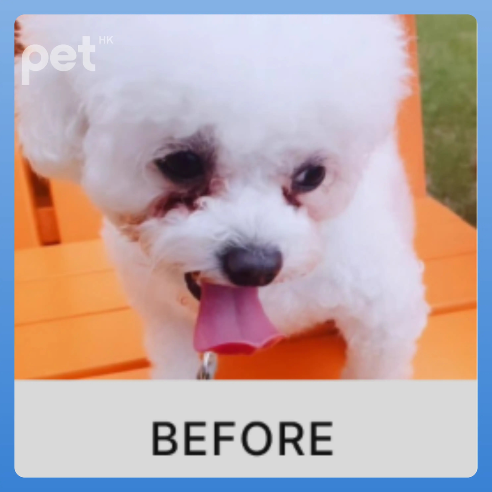 Doocamedi Cellcare Eyecle: Premium Stem Cell Eye Care Solution for Pets DOOCAMEDI