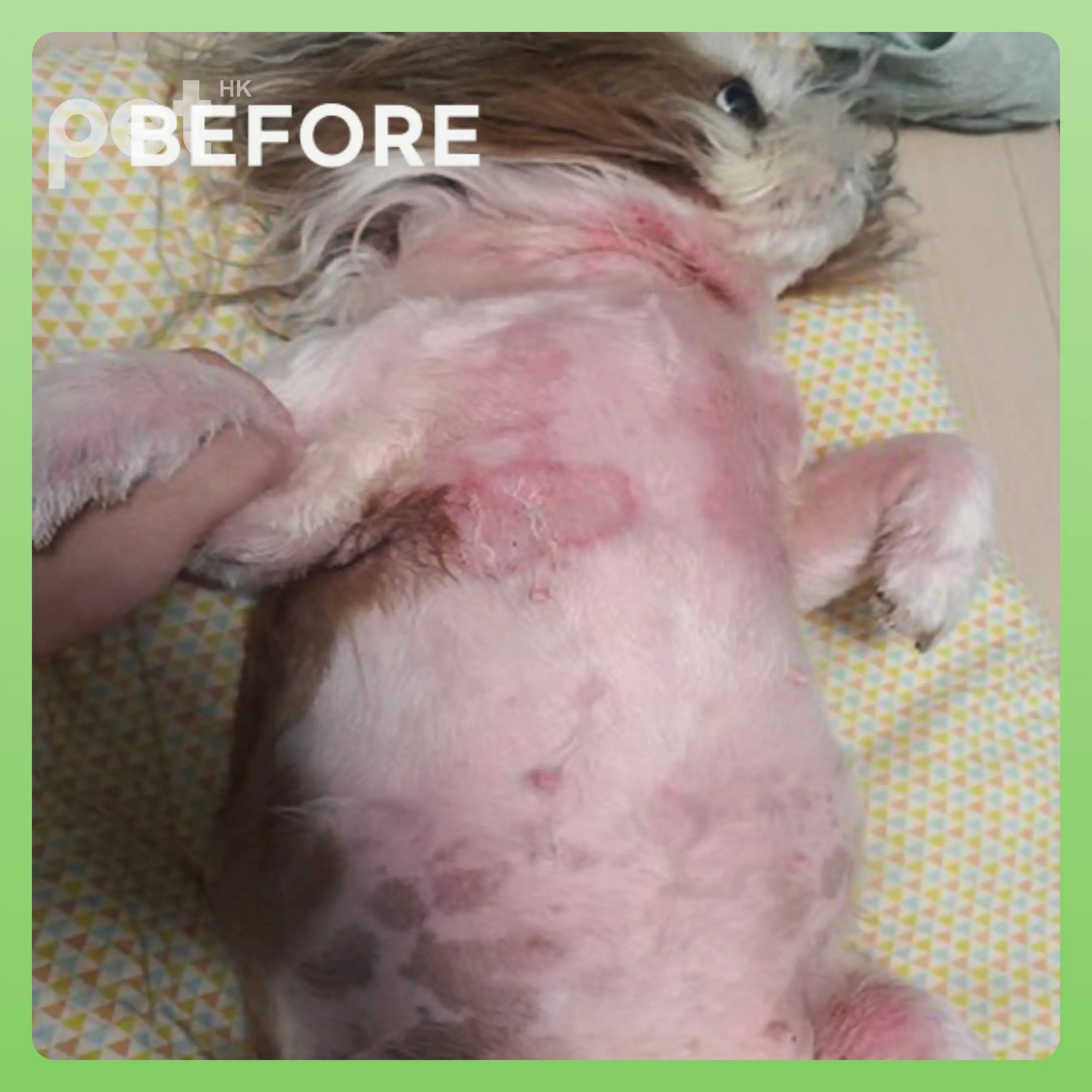 Doocamedi Cellcare Mist Stem Cell All-in-One Repair Spray - Deep Hydration and Coat Restoration DOOCAMEDI