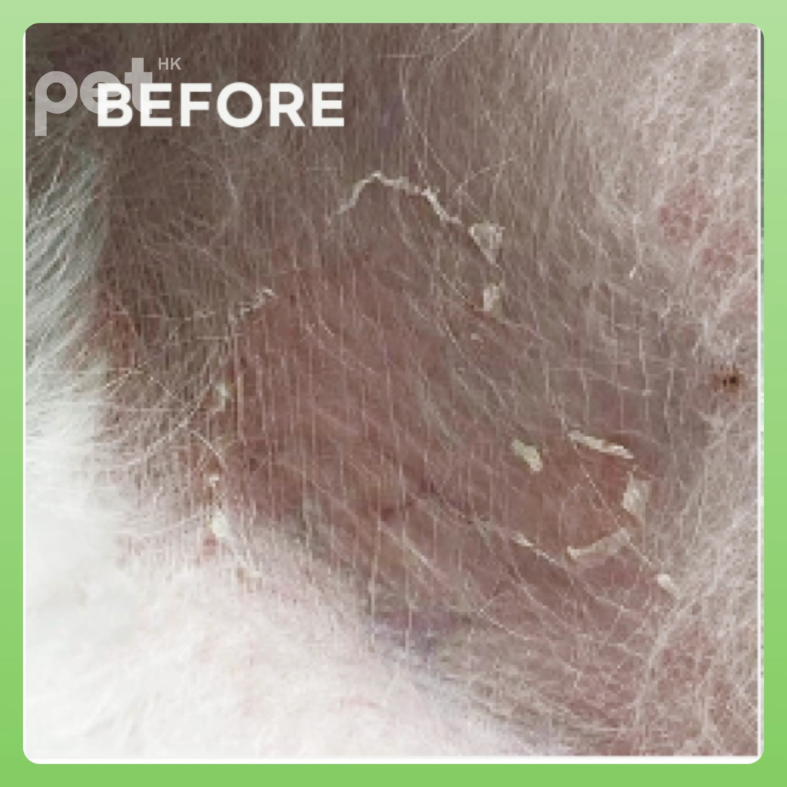 Doocamedi Cellcare Mist Stem Cell All-in-One Repair Spray - Deep Hydration and Coat Restoration DOOCAMEDI