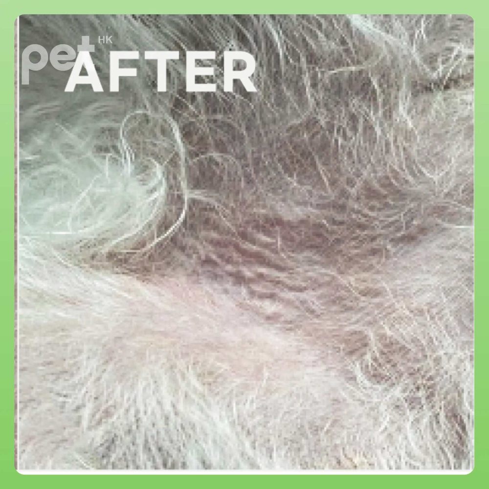 Close-up of pet fur after using Doocamedi Cellcare Mist showing improved coat condition and hydration