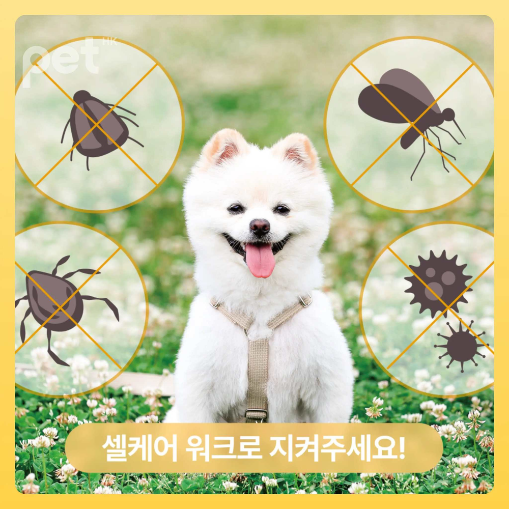 Happy white dog sitting on grass surrounded by flea and tick icons with Doocamedi Cellcare Walk Stem Cell anti-flea pet spray protection message