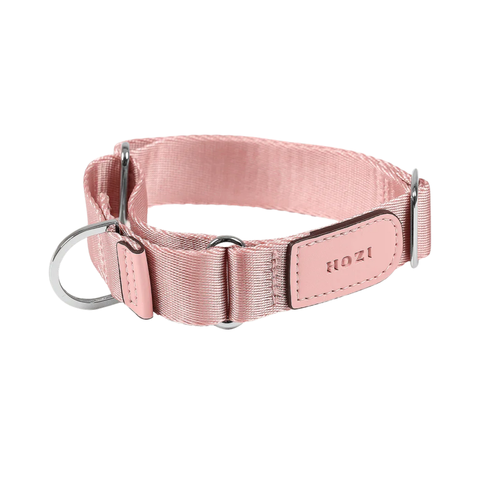 HOZI Collar Martingale PET