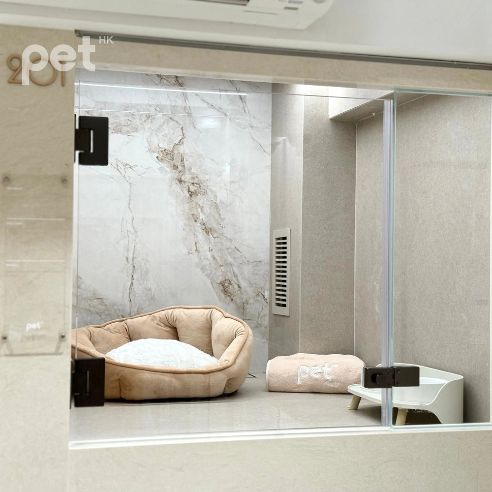 酒店服務 Hotel Services thepethk