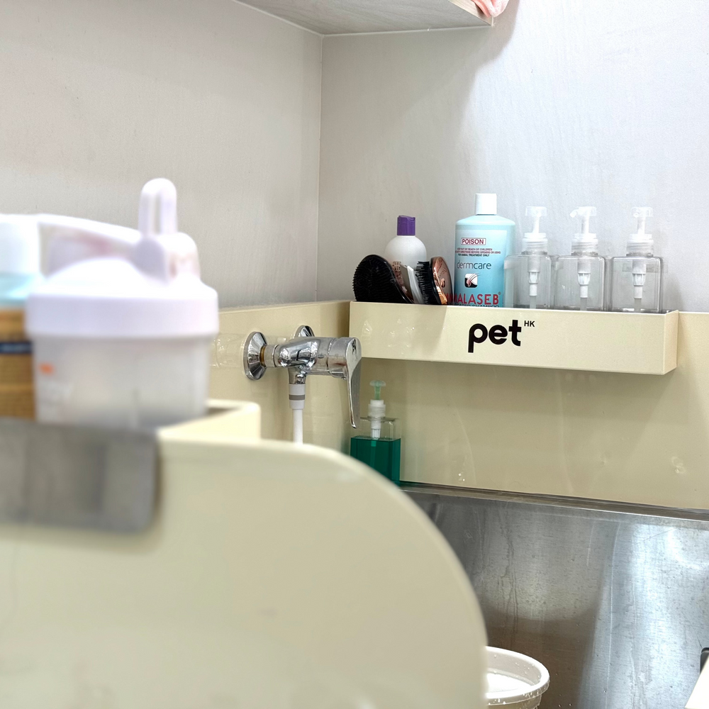 酒店服務 Hotel Services thepethk