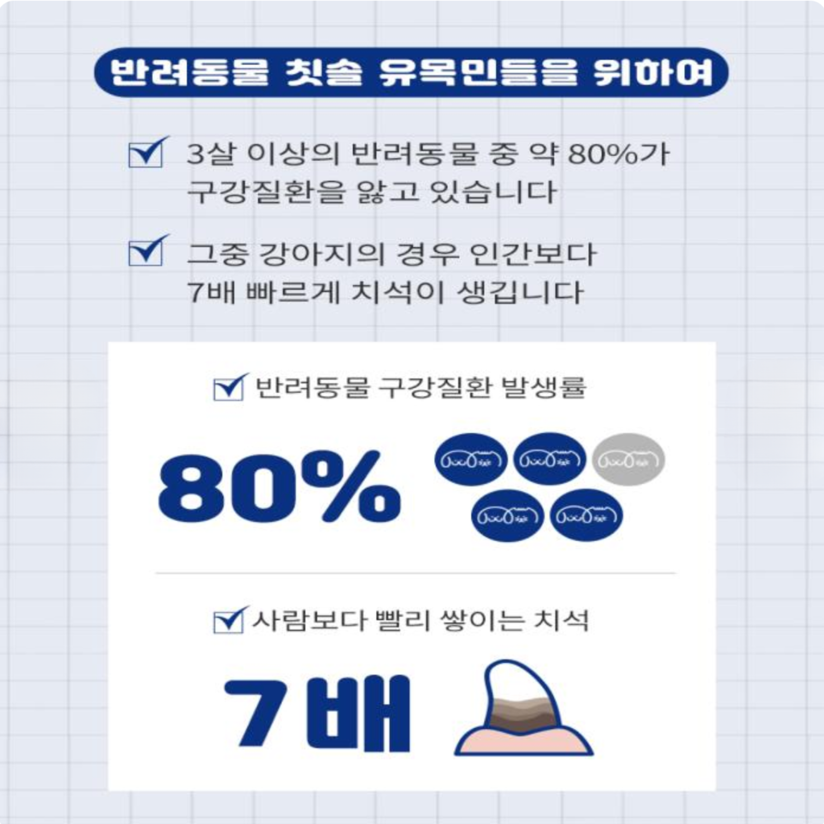 Hycos Chicapetca Tooth Brush