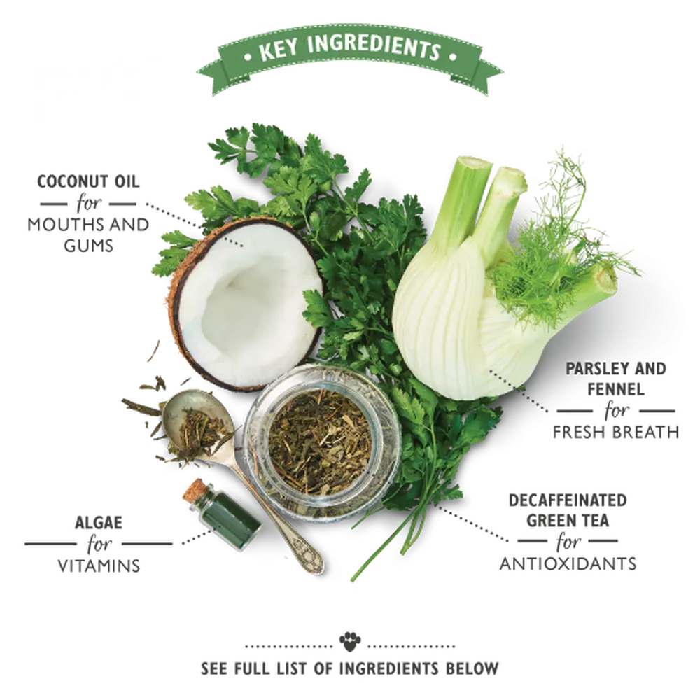 LILY'S KITCHEN Woofbrush Dental Chew | 天然犬用潔齒棒 LILY’S KITCHEN