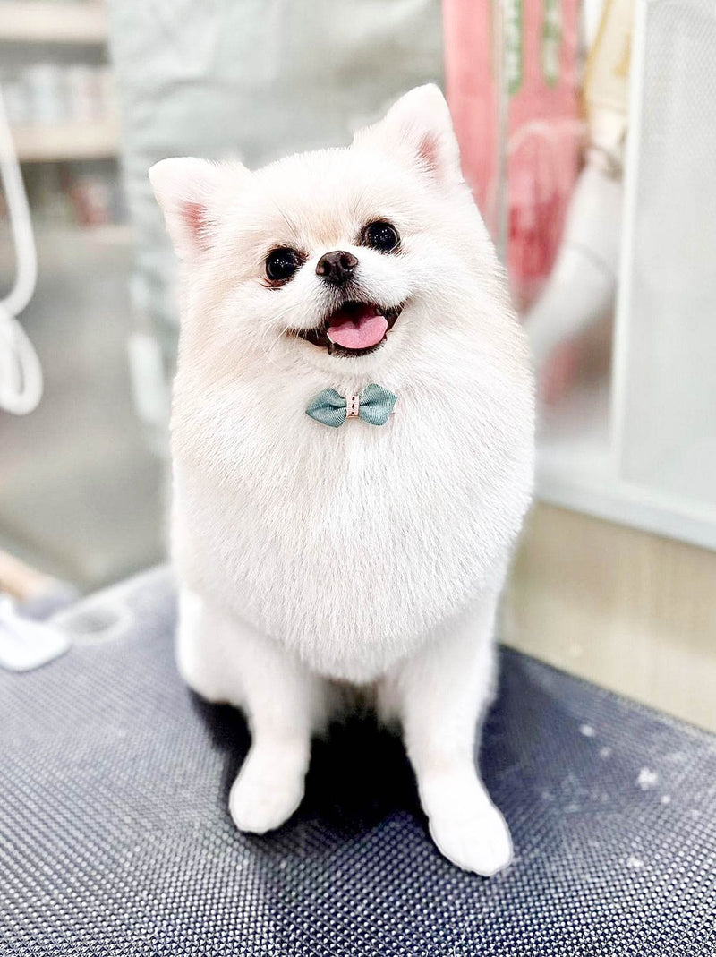 fallback text for an image