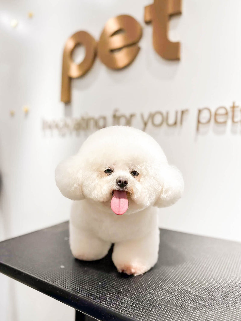 fallback text for an image