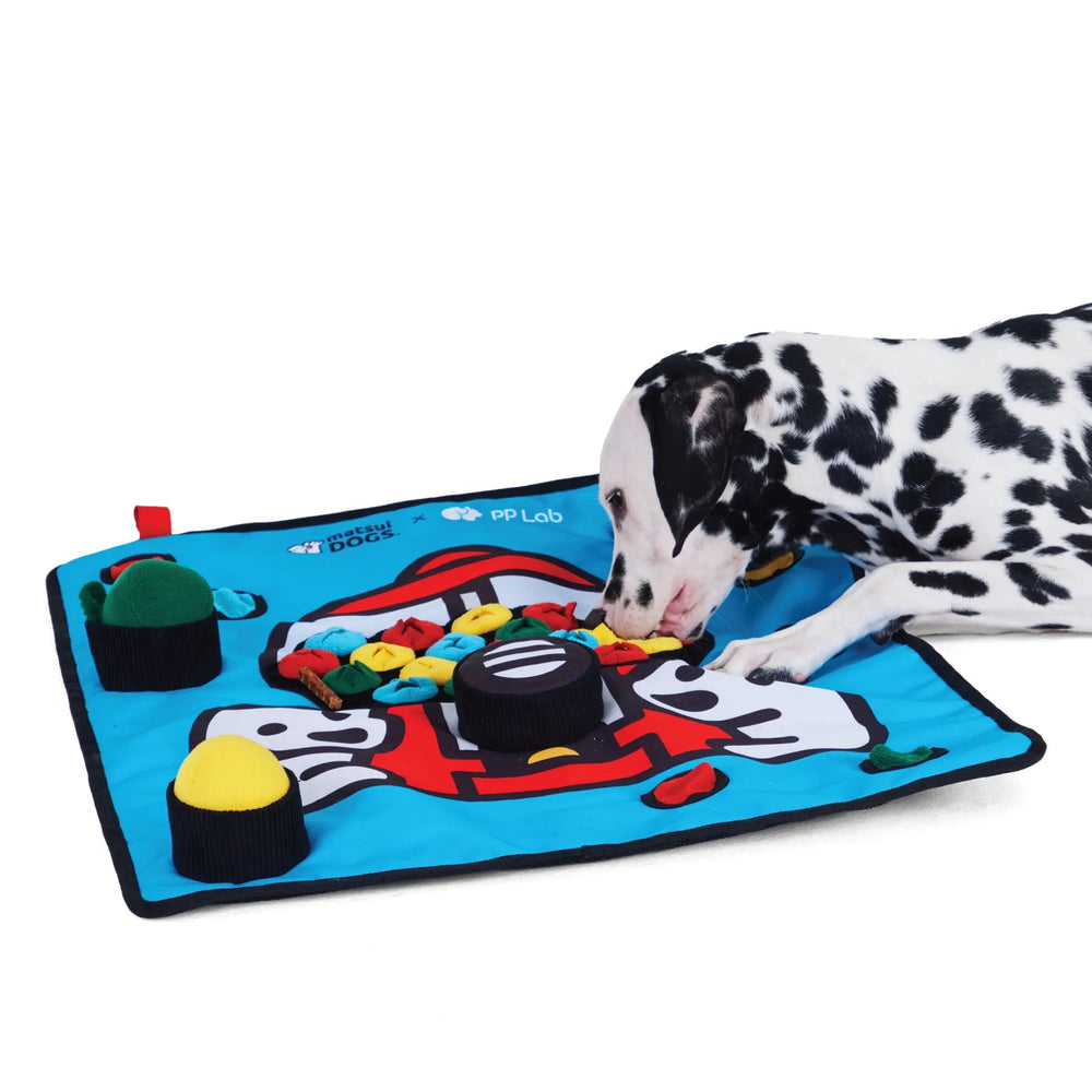 PP Lab - Matsui DOGS Playmat Deluxe Sniffing Toy (Large) | Nosework Mat for Dogs | 狗狗鼻工作玩具 Bite Me