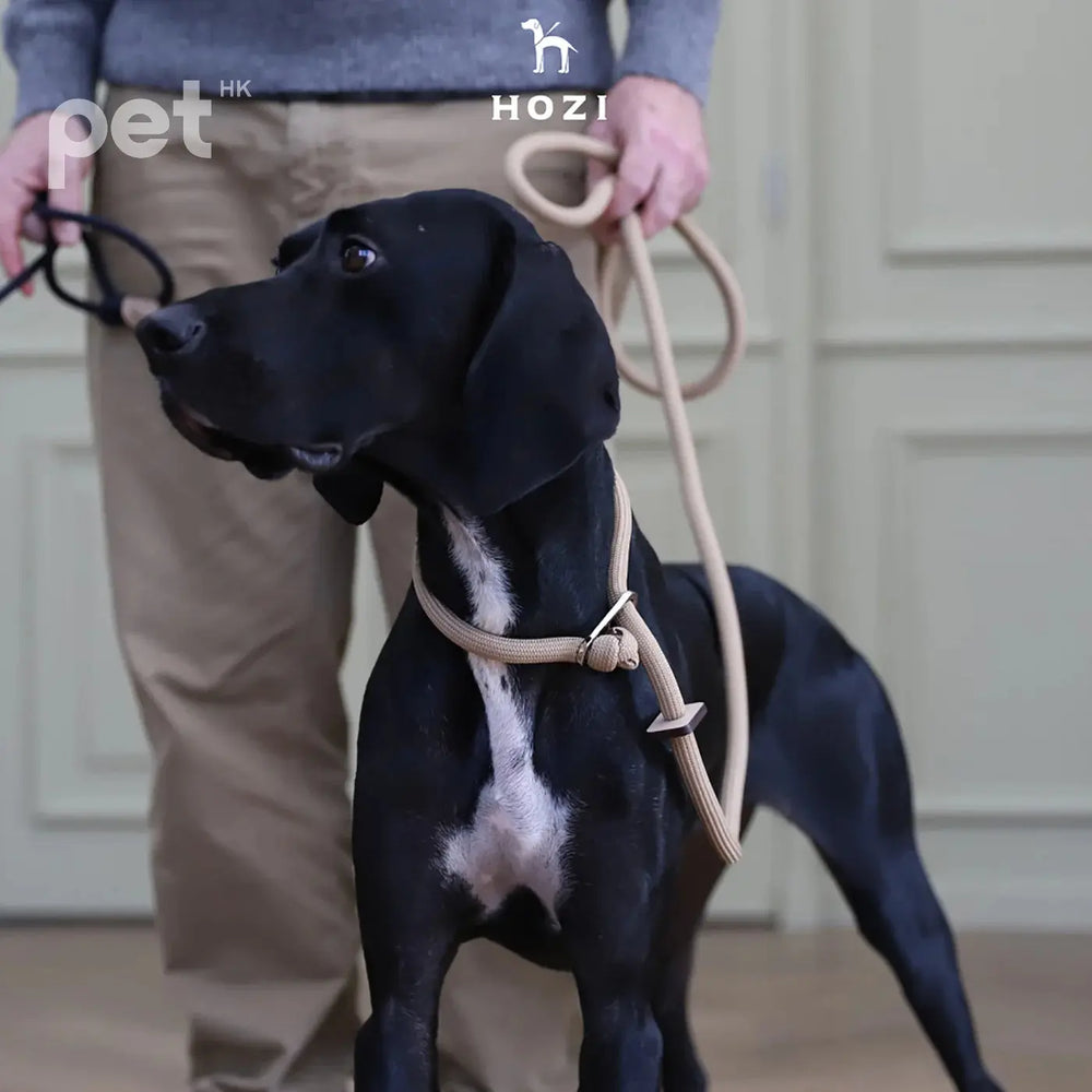 Slip Leash - Black / Beige / Orange / Mustard / Navy / Pink HOZI