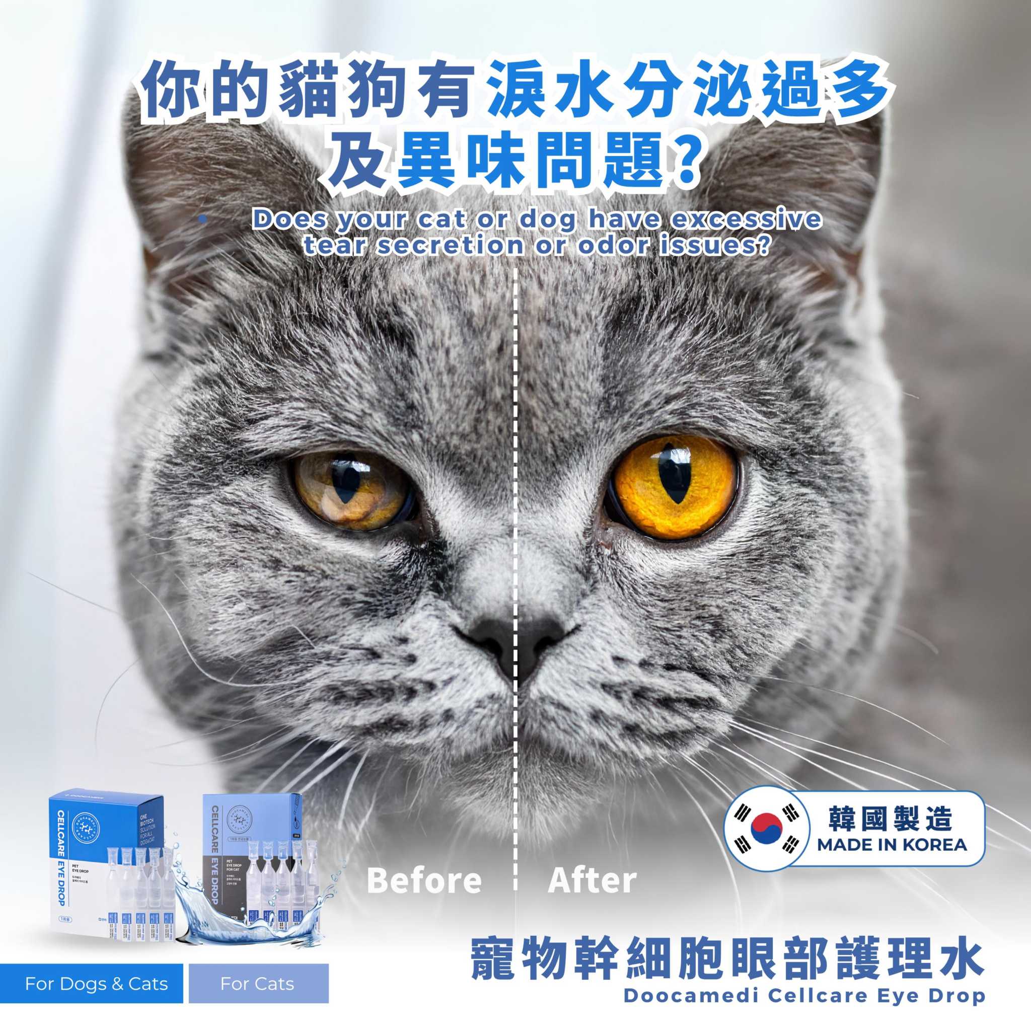 Before and after image showing effects of Vision Care Essentials Bundle for pets, highlighting reduction in tear stains and odor in a cat's eyes, with product packaging visible and Made in Korea label.