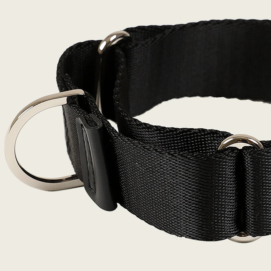 HOZI Collar Martingale PET