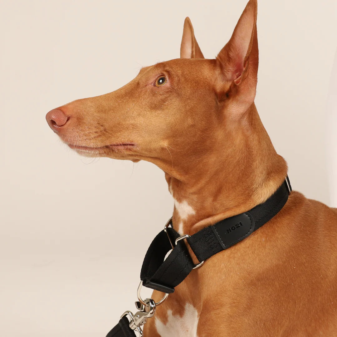 HOZI Collar Martingale PET
