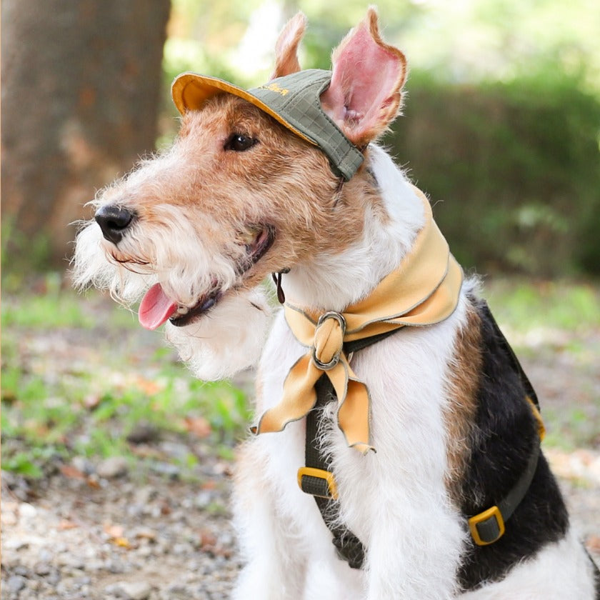 HOZI Doggie Scarf PET