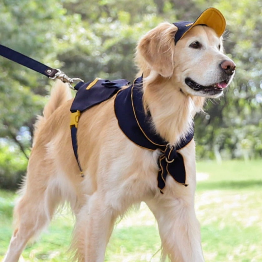 HOZI Doggie Scarf PET