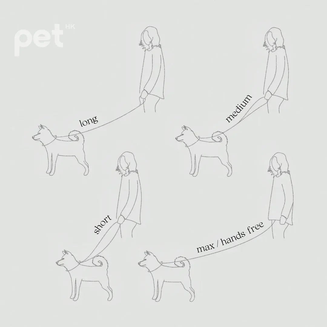 MELLEM wide 牽引繩 - 2.5cm wide // all weather convertible leash / 6ft or 180cm max Lambwolf
